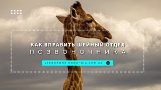 Как вправить шейный отдел позвоночника