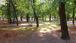 Осенний Парк. Осенние Футажи. Начало Осени. Футажи для видеомонтажа