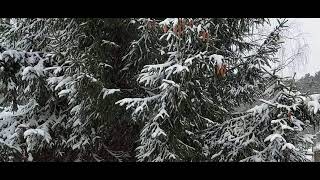музыка зимний вечер ,вид из окна ,музыка для спорта,4к