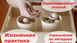Упражнения по  методике Монтессори. Жизненная практика. Перекладывание  ложкой