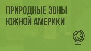 Природные зоны Южной Америки. Видеоурок по географии 7 класс