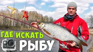 РЫБАЛКА: ГДЕ ИСКАТЬ РЫБУ + МАРКЕРНЫЙ ПОПЛАВОК