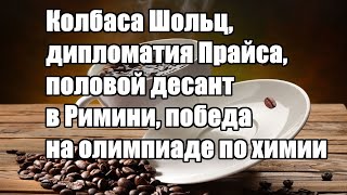 Колбаса Шольц, дипломатия Прайса, половой десант в Римини, победа на олимпиаде по химии - Новости