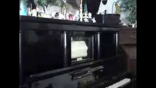 IN NISCHNI-NOWGOROD (Lied und Blues)