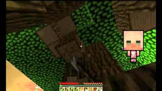 Minecraft : Survival in InnCraft Episode1