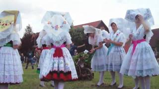 Hahnrupfen in Burg 2010