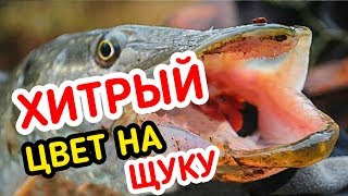 Рыбалка на ДЕШЁВЫЙ силикон и СВИНЕЦ Фанатик!!! Рабочий монтаж на Щуку!!!