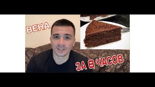 Вена за 6 часов. Что можно увидеть?