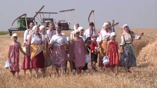 Хлебосольный край