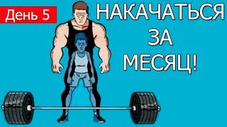 НАКАЧАТЬСЯ ЗА МЕСЯЦ - ЭКСПЕРИМЕНТ (день 5), ПРОГРАММА КАК БЫСТРО НАКАЧАТЬСЯ И ЗАМЕРЫ!!!