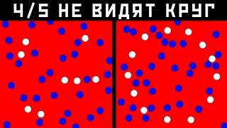 9 Фото, Которые Проверят Твой Интеллект