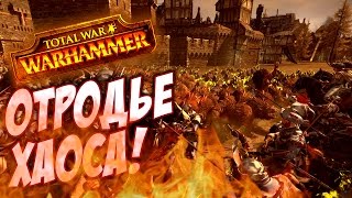 ОТРОДЬЕ ХАОСА В ДЕЛЕ! - Total War Warhammer #9