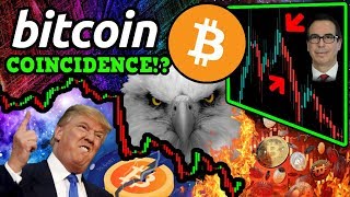 BITCOIN: They Are LYING to YOU! Blue WHALE BTC Conspiracy? What They’re Not Telling You!