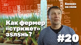 Бизнес на селе #20. "Приключения Чиполлино из Лаишево"