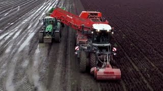 Dewulf RA3060 (2014) omgebouwd naar Bieten rooier