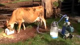 Dairymaid Milking Machine Instructional Video