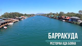 Ада Бояна рестораны - ресторан Барракуда, Черногория.