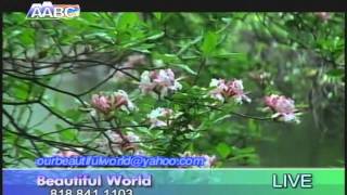 Seda Garibyan--"Beautiful World"--Thoughts about Beautiful Person..Mtker Geghetsik mardu masin..