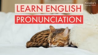 Learn English Pronunciation with Basic & Useful Phrases
