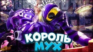 МУХА ФИНТИФЛЮХА