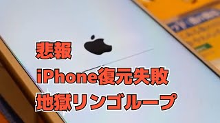 【悲報】悪魔のリンゴループ復元失敗からのDFUモードで復活