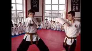 Кихон - УДАРЫ КАРАТЭ ДЗЭНДОКАН часть 1