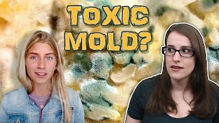 Is Raw Alignment Really Sick From Mold Illness?