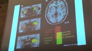 Neuroni specchio, seconda parte