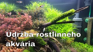 Juwel Akvarium - Údržba rostlinného akvária