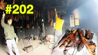 第202集 山顶大叔家挂满腊肉 400多斤吃草长大的黑猪腊肉 半肥半瘦刚刚好！