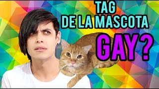 ¡¡Mi Gato Es GAY!! TAG DE LA MASCOTA | RockoRockz