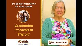 Dr. Becker Interviews Dr. Jean Dodds (Part 1 of 2)