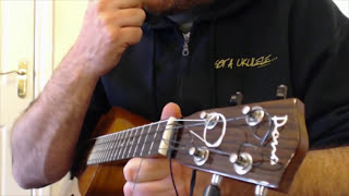 How To Adjust Ukulele Setup and Intonation - Got A Ukulele Beginners Tips