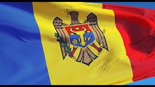 Первый стрим, пупы, Вебинар по Молдавии под треск костра, Аукцион [Жмилевский 20/03/19]