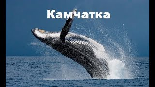 Kamchatka / Неизвестная Россия Камчатка / 4K Drone video