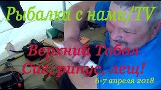 Рыбалка в Казахстане на Верхнем Тоболе сиг рипус лещ