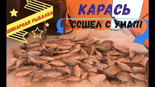 Бешеный клев КАРАСЯ зимой/Шикарная рыбалка/Ловля на мормышку!