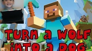 Jax Plays Minecraft: How to Turn a Wolf into a Pet Dog