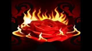 КРАСИВАЯ МЕЛОДИЯ.Классный клип для Души!!!