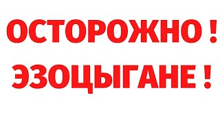 ЖЕНСКИЕ ПРАКТИКИ. Как женщин уводят от истинных знаний. Вадим Жеребцов