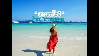 เที่ยวทั่วไทย ไปไหนดี   นาวโอพี ชื่อนี้ มีแต่ปะการัง