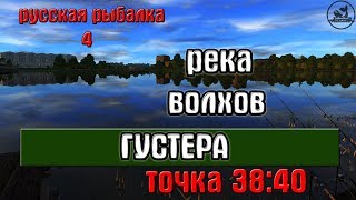 Русская рыбалка 4(рр4) - река Волхов. Густера недалеко от моста.
