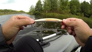 Лучшие воблеры на щуку: Megabass X-140 challenge