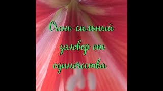 Заговор от одиночества