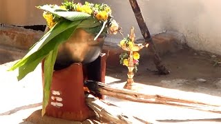 Sama Arisi Sakkarai pongal-an authentic preparation 2015-சாமை சக்கரை பொங்கல்