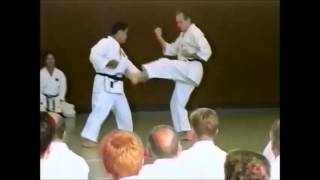 Higaonna Sensei - Leijenhorst Sensei Gekisai dai Ichi Renzoku Bunkai