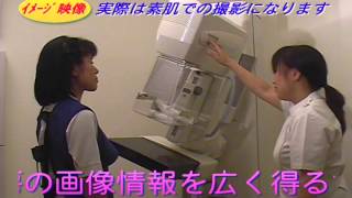 ピンクリボンかながわ活動　　公益財団法人神奈川県予防医学協会