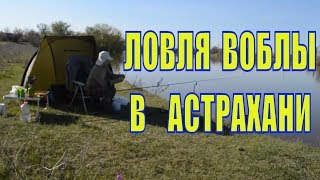 Ловля воблы в Астрахани май 2018.