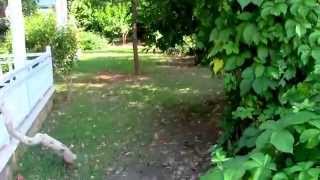 9. Турция. Отель Club Gunes Garden 4*