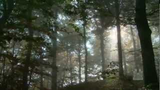 Lead, Kindly Light (2012) - Mormon Tabernacle Choir